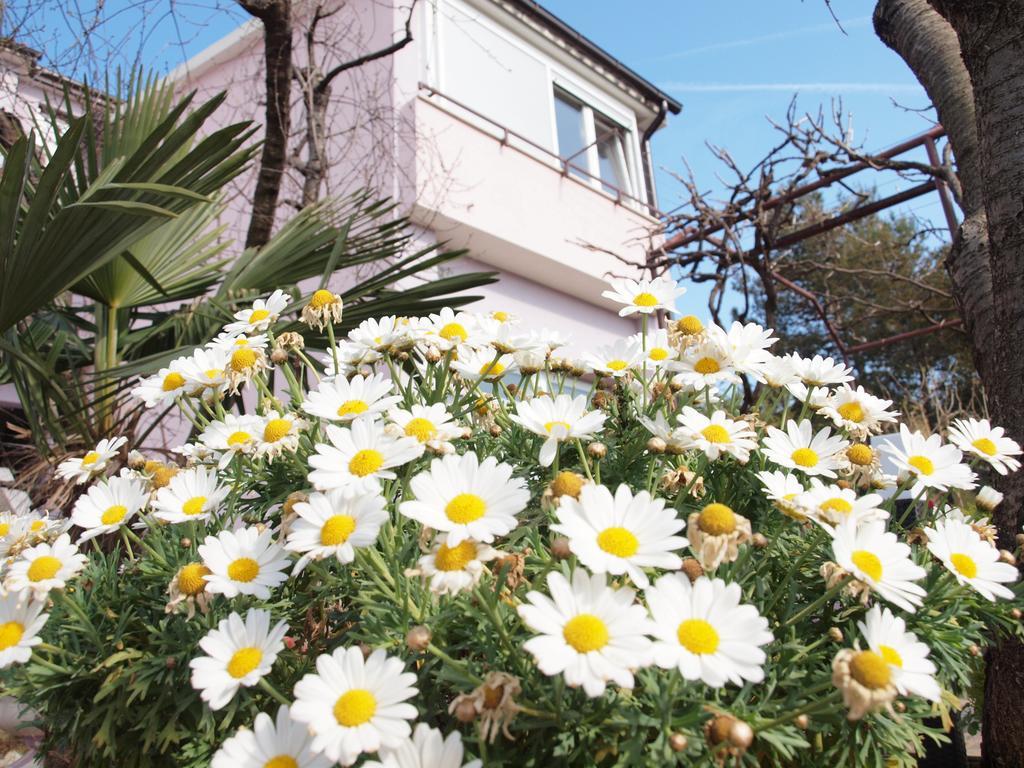 Apartments Zufic Stinjan Exterior photo